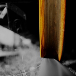 009_color.jpg